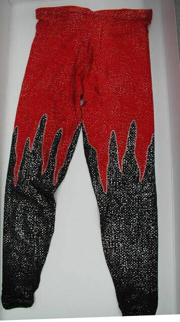 Tights/leggings of Aerialist Mark Lotz of the Flying Gaonas