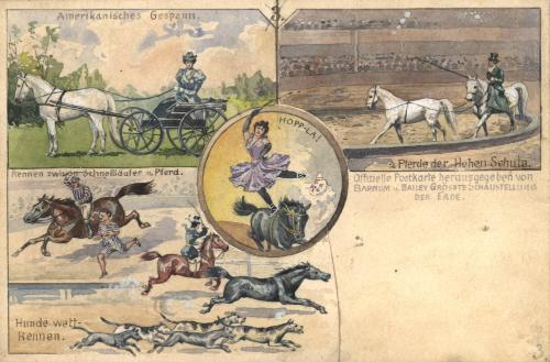 Barnum & Bailey:  Equestrians