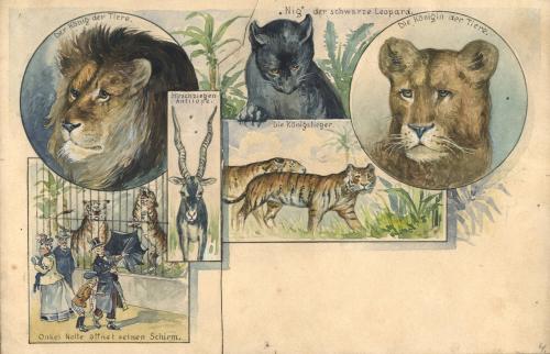 Barnum & Bailey: Big Cats