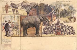 Barnum & Bailey:  Elephants