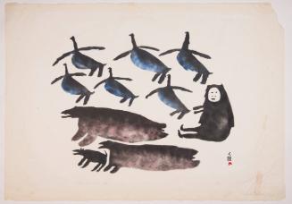 Birds, Man and Animals