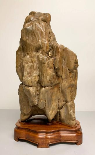 Petrified Wood Viewing Stone