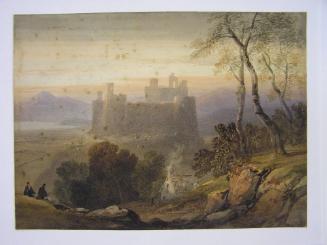 A View of Harlech Castle