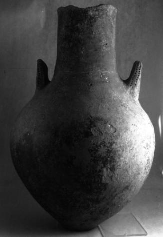 Amphora, lugged