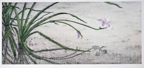 Iris Eve
