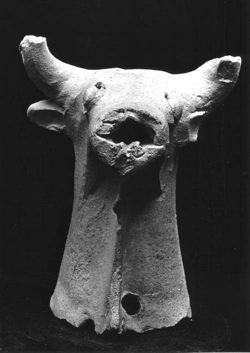 Bulls' head