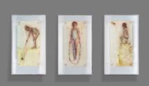 All three works together