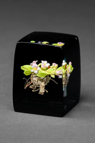 Trailing Arbutus Block