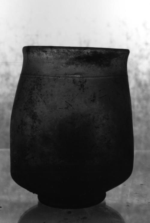Cup/Beaker