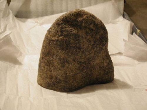 Shako from Klauser's bear act
