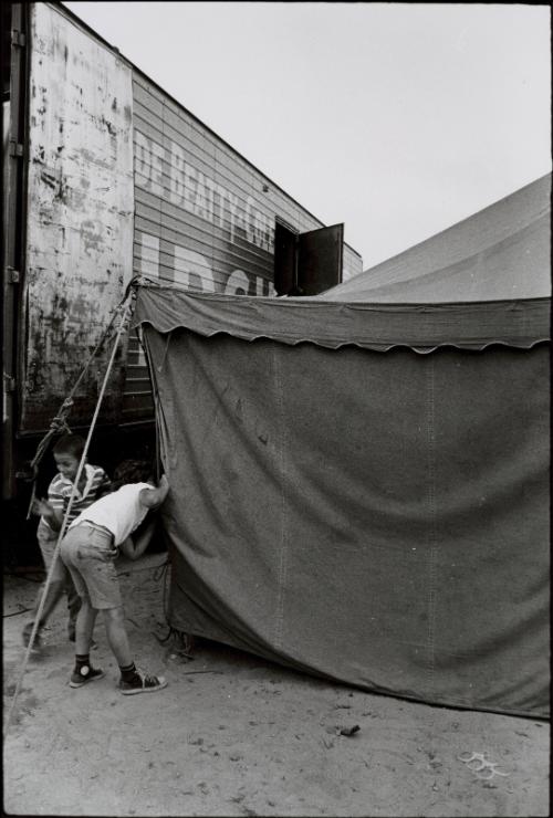 Jill Freedman (American, 1939 – 2019)
Boys peeking in tent (Circus Days), c. 1971
Gelatin sil…