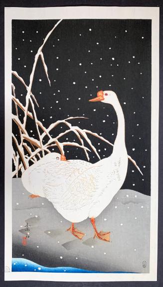 Geese at Night in Snow