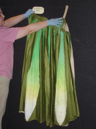 Skirt Cape