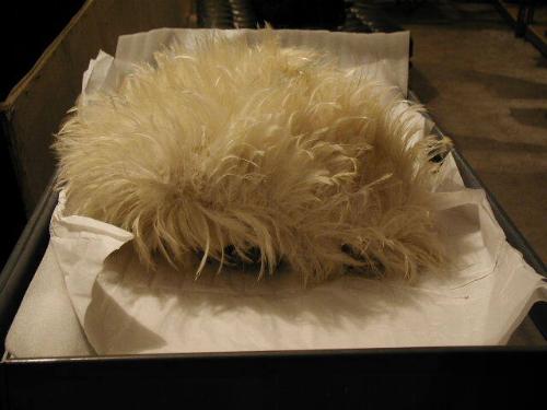 Shako