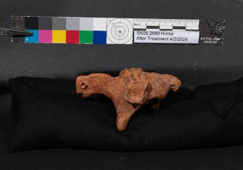 Horse with side saddles