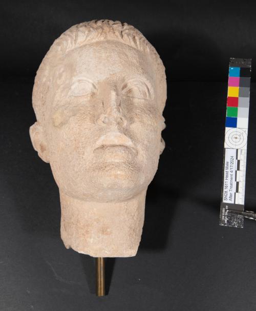 Head, male