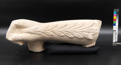 Right forearm and hand of a statue holding a branch and wearing a short-sleeved tunic