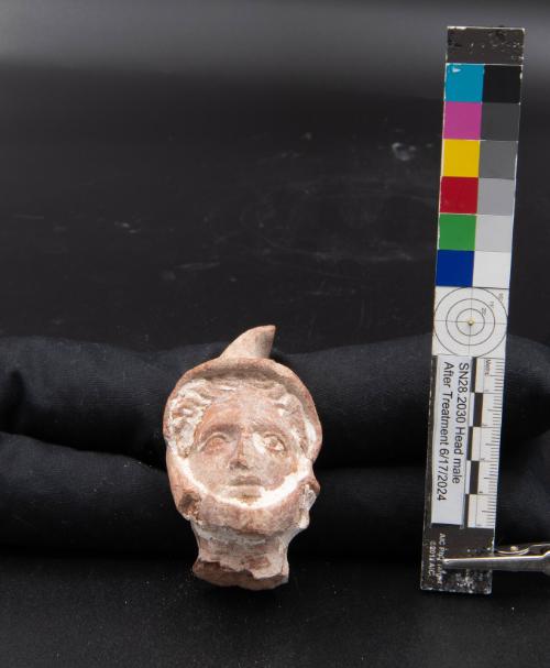 Head, male