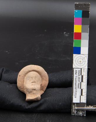 Head