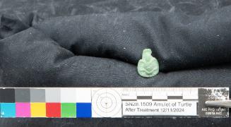 Turtle amulet