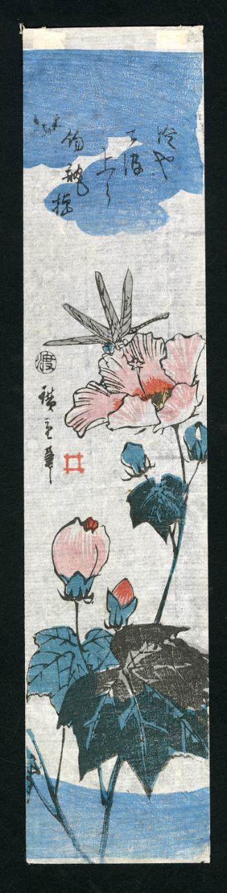 Dragonfly and Cotton Rosemallow, from an untitled series