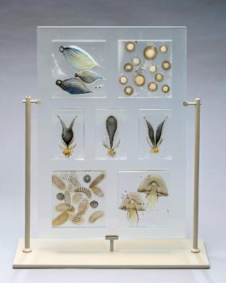 Specimen Panel