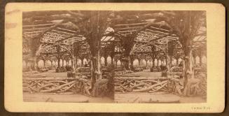 Central Park.