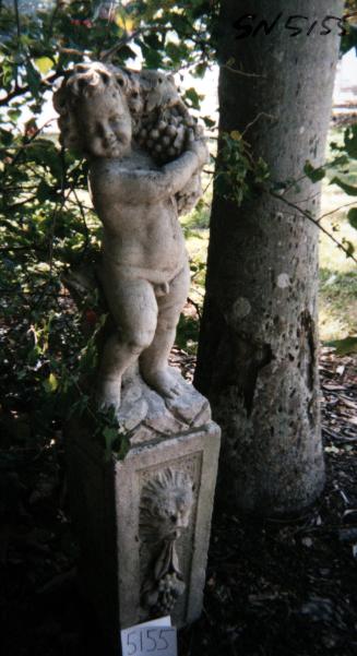 Putto holding bunch of grapes on left shoulder
