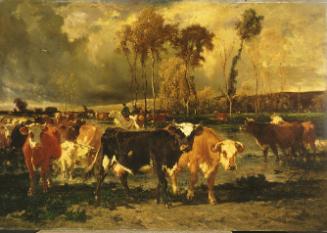 The Return of the Herd (Dans les landes)