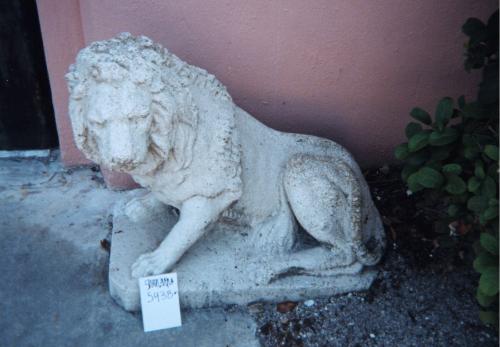 Semi Lying Lion