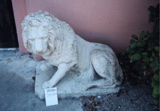 Semi Lying Lion