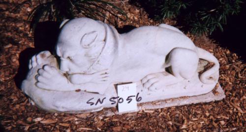 Lion with Crocodile