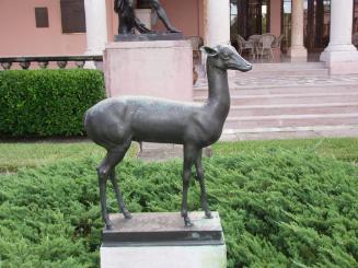 Male Deer