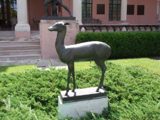 Male Deer