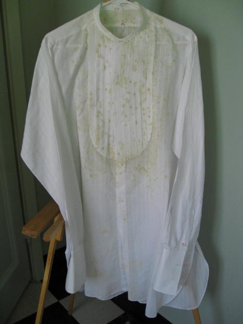 White shirt with pleated bib