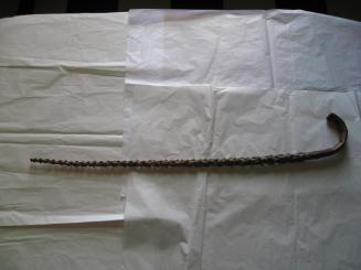 Knobby wooden cane