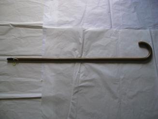 Light wood cane