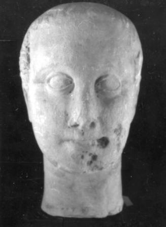 Head, male