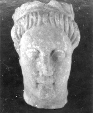 Head, male