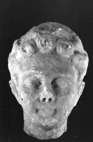 Head, male