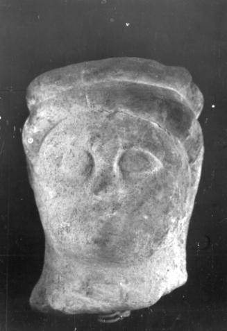 Head,  male