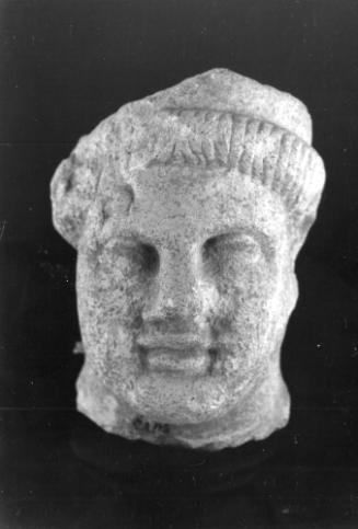 Head, male