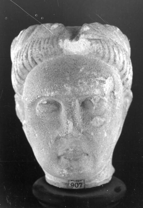 Head, male