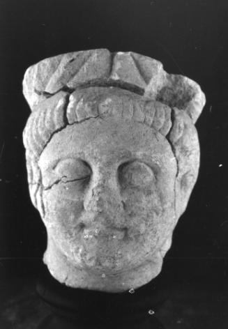 Head, male
