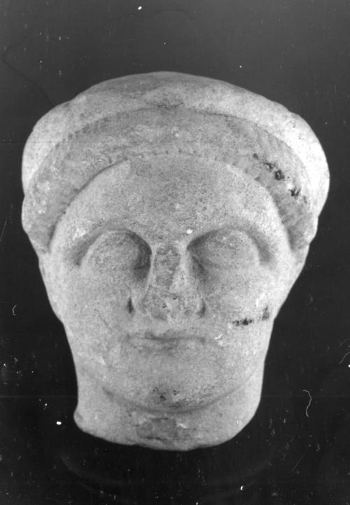 Head, male
