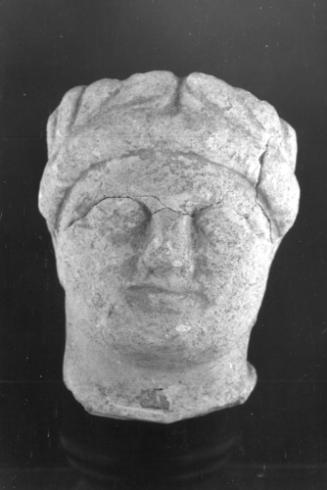 Head, male
