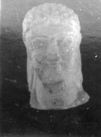 Head, male