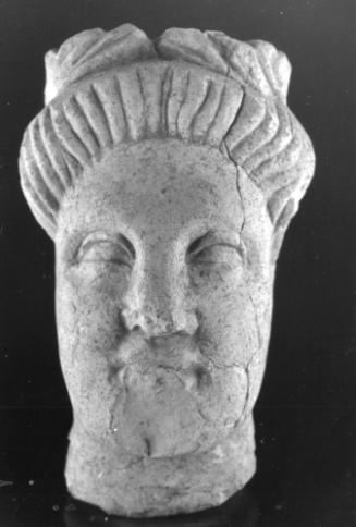 Head, male