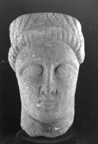 Head, male