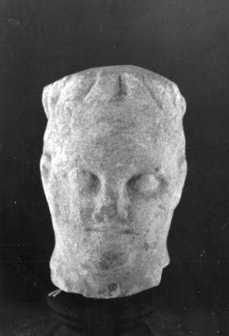 Head, male